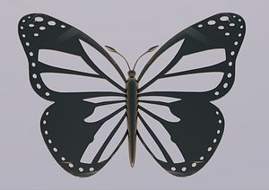 butterfly