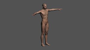 3d model realistic rigged male
