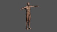 Realistic Male - Rigged