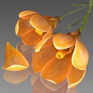 flower crocus yello 3d model