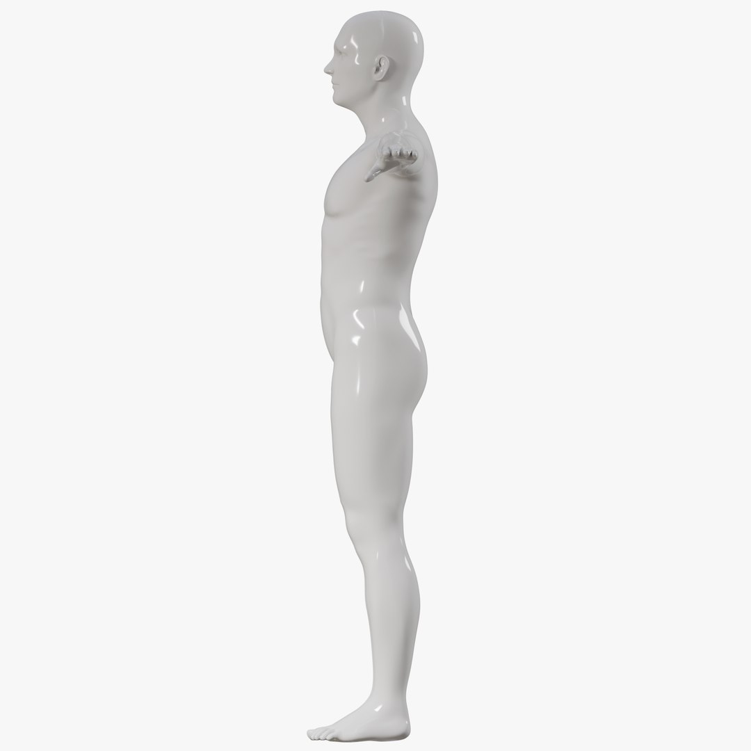 Male mannequin pose 1 PBR 3D https://p.turbosquid.com/ts-thumb/MA/HFuwLp/8O/360male013/png/1771336902/1920x1080/fit_q87/fa304b4d62f9a67f1014f7a02ead6556cffcf7eb/360male013.jpg