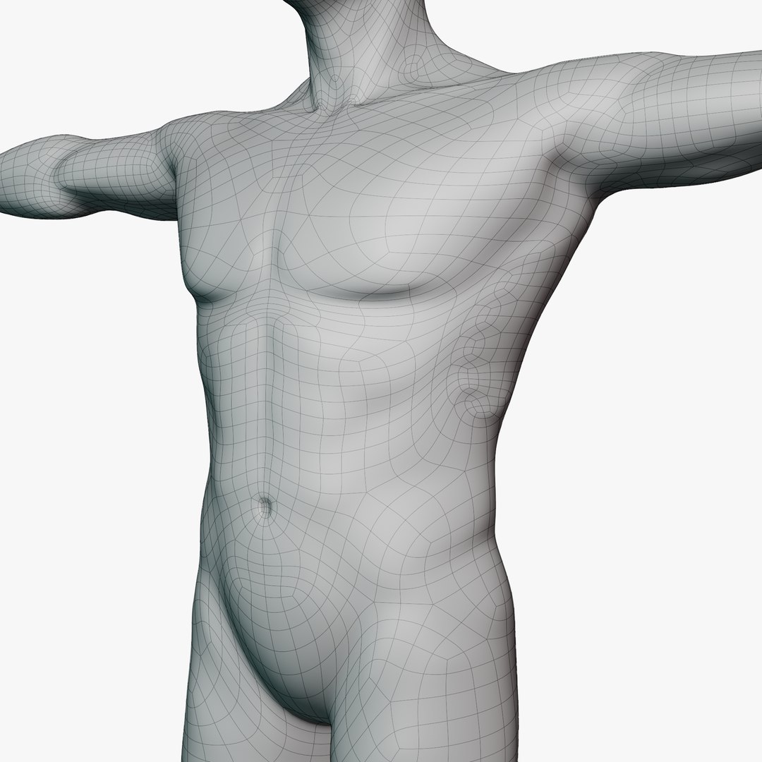 Male mannequin pose 1 PBR 3D https://p.turbosquid.com/ts-thumb/MA/HFuwLp/cF/wirerendermale012/png/1771336912/1920x1080/fit_q87/d143e67fdf5b342f32513eafd2218338502ffab1/wirerendermale012.jpg