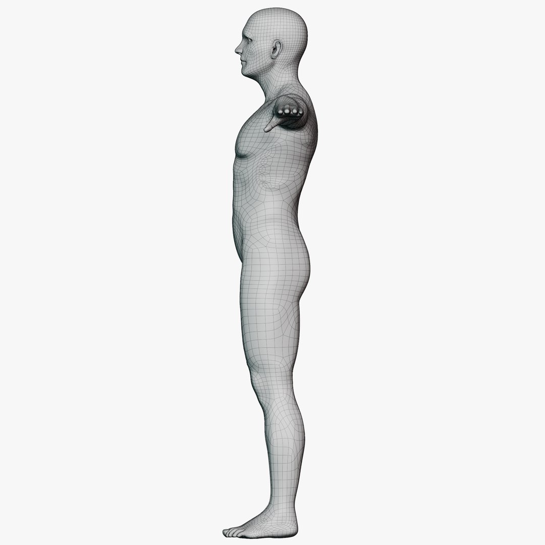 Male mannequin pose 1 PBR 3D https://p.turbosquid.com/ts-thumb/MA/HFuwLp/hY/wire360male0110/png/1771336909/1920x1080/fit_q87/fa4f372abca9747b9ac350897e8048e82e739964/wire360male0110.jpg