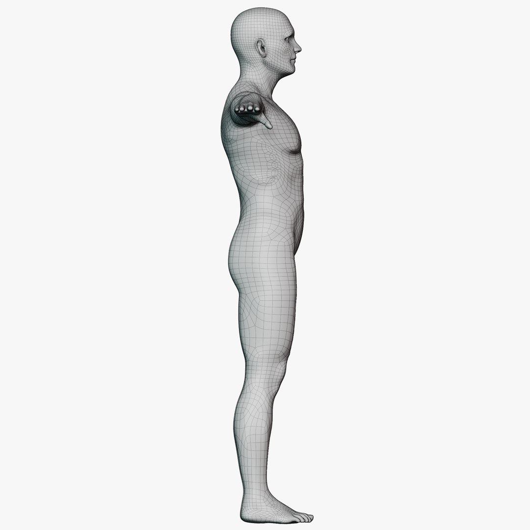 Male mannequin pose 1 PBR 3D https://p.turbosquid.com/ts-thumb/MA/HFuwLp/mR/wire360male0128/png/1771336910/1920x1080/fit_q87/717646e363b5260c0f53fa3e94fab1b9e1640cd6/wire360male0128.jpg