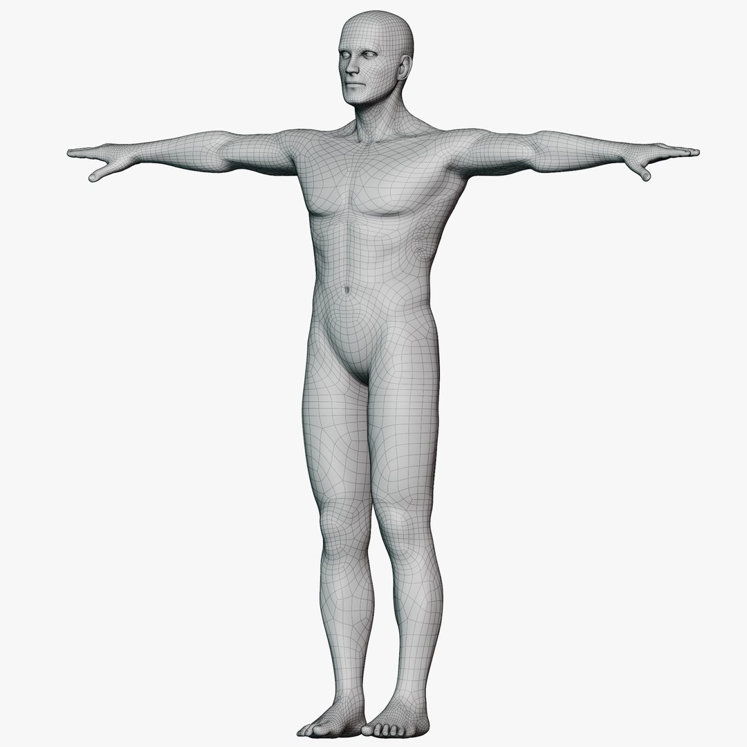 Male mannequin pose 1 PBR 3D https://p.turbosquid.com/ts-thumb/MA/HFuwLp/su/wire360male0104/png/1771336908/1920x1080/fit_q87/e2da82935a03f8611da5b0449e32fe41f494ddba/wire360male0104.jpg