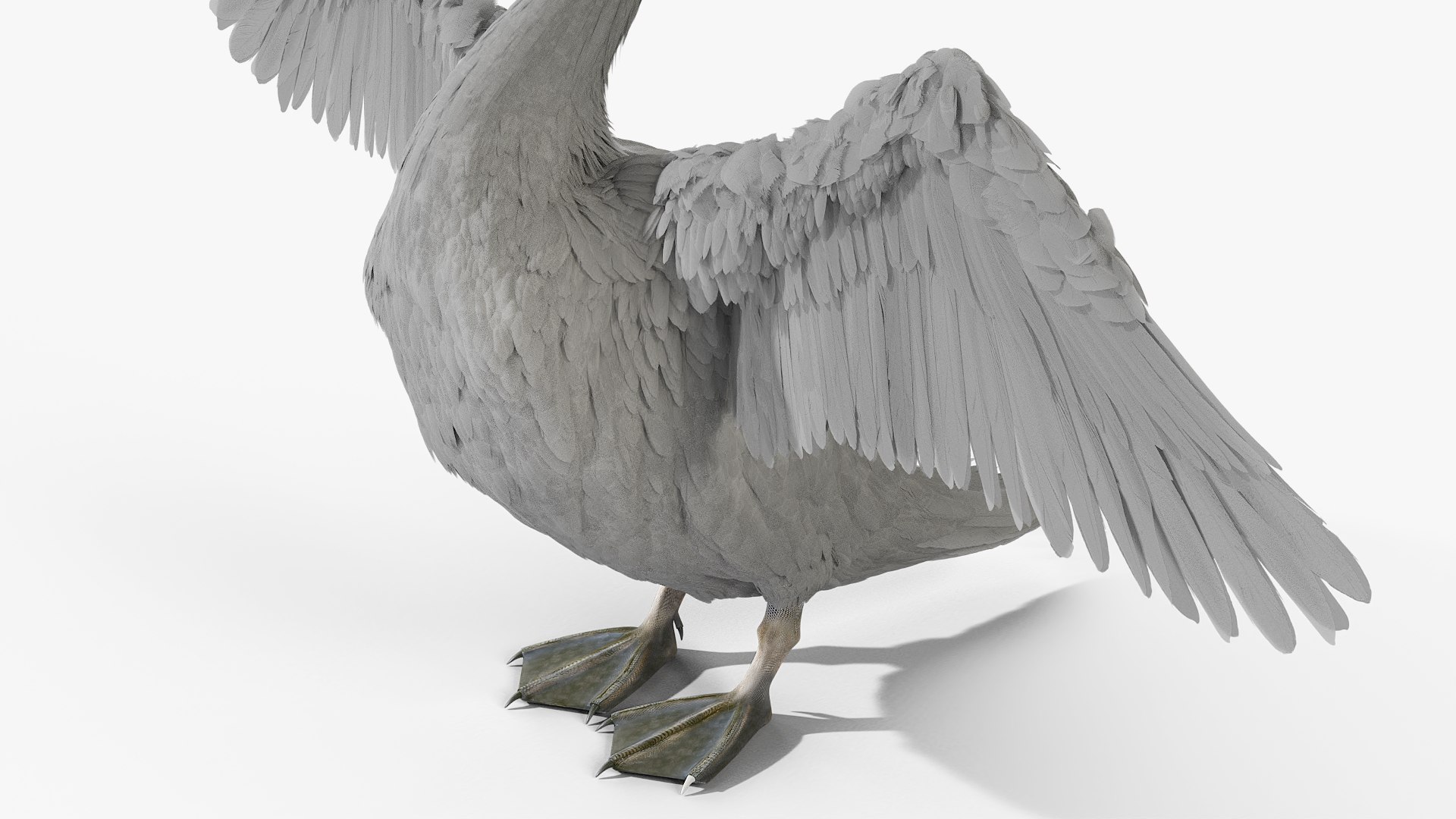 3D Gray Swan Model - TurboSquid 2384447