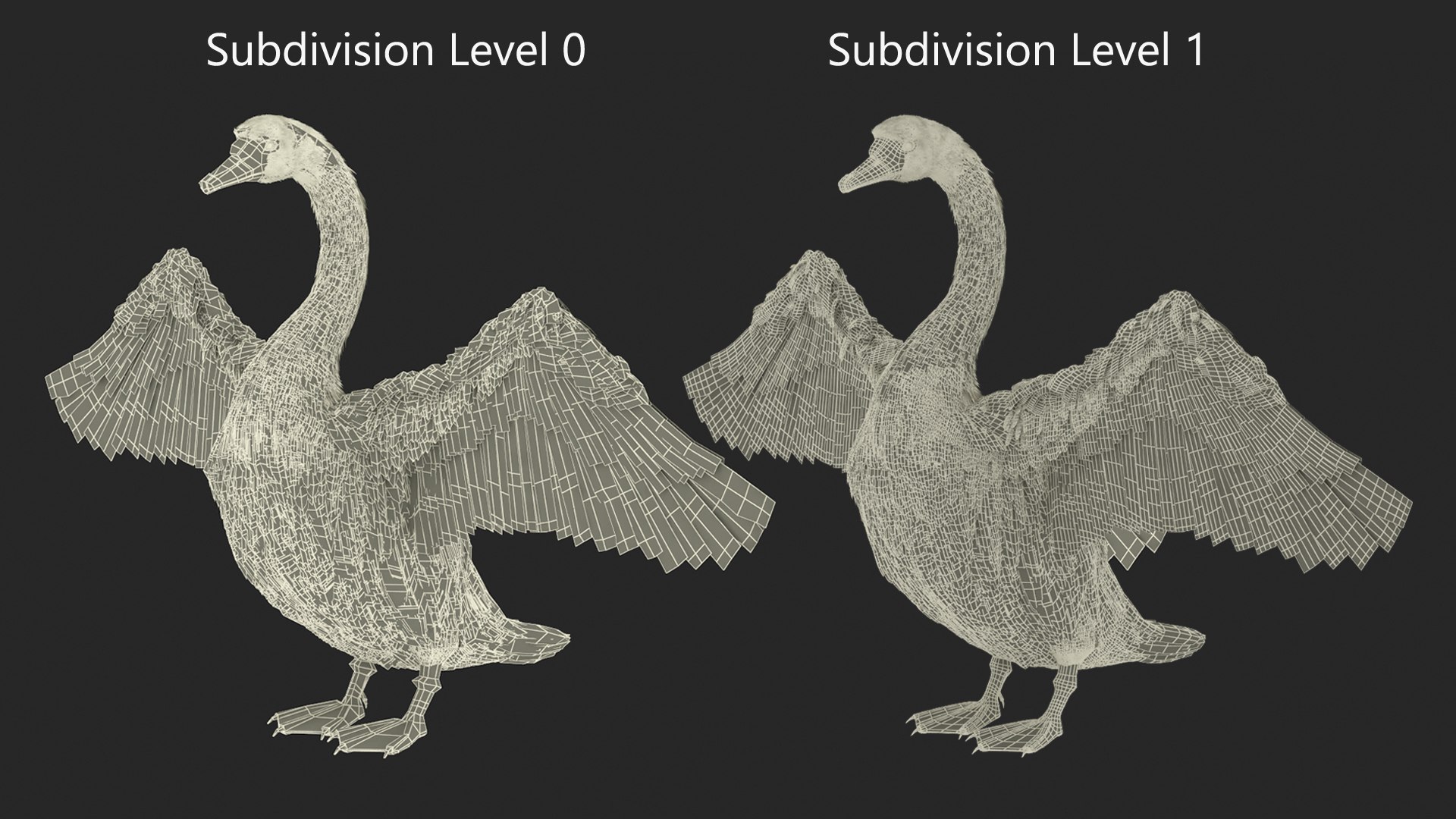 3D Gray Swan Model - TurboSquid 2384447