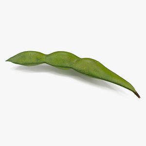 Closed Green Soybean Pod
