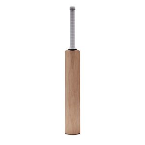 3D Cricket Bat No Logo