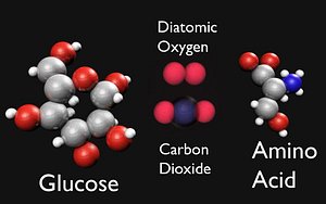 Molecules.mb