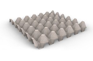 3D eggtray