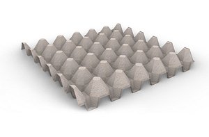 egg tray
