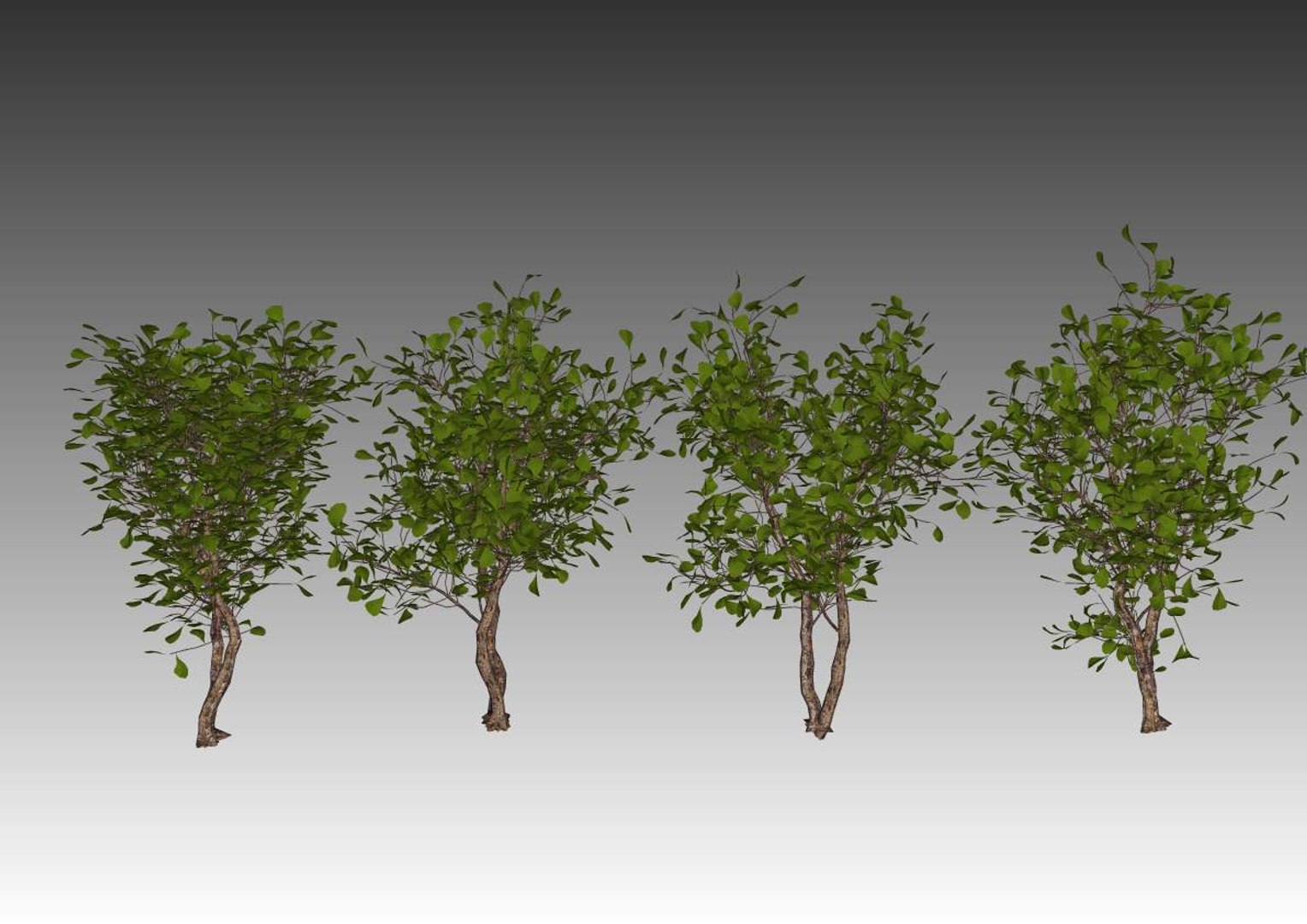 plant model https://p.turbosquid.com/ts-thumb/MA/oWT1hx/7riyiwHu/1/jpg/1548396909/1920x1080/fit_q87/0fafd66c188cff7a39b2a1d5fbb74d749466766f/1.jpg