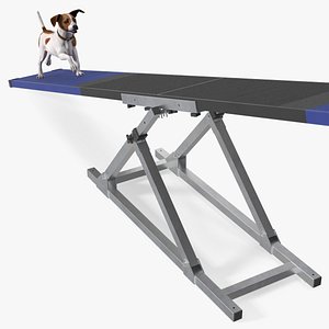 Dog Agility Seesaw and Jack Russell Terrier