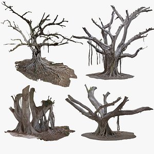 4+ Giant Ficus High-Resolution Tree 3D Scans in One Bundle