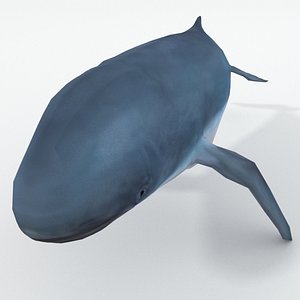 3D irrawaddy dolphin