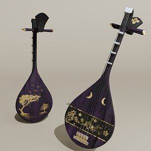 The Biwa 3D