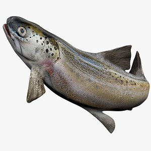 TROUT L2001 3D
