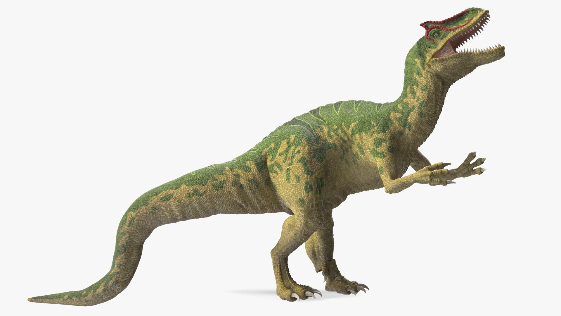Rigged Dinosaurs Collection 8 for Cinema 4D 3D model https://p.turbosquid.com/ts-thumb/MB/5N0Qc2/GR/riggeddinosaurscollection83dsmodel031/jpg/1711247496/1920x1080/fit_q87/f1d2ec6508c5800d340d8c91c7ae12e68bb3c6ae/riggeddinosaurscollection83dsmodel031.jpg