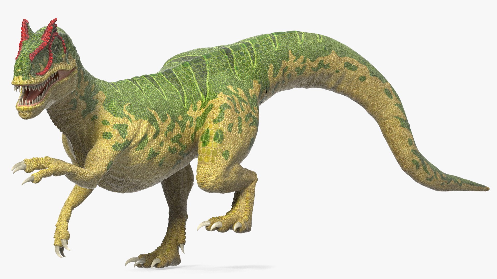 Rigged Dinosaurs Collection 8 for Cinema 4D 3D model https://p.turbosquid.com/ts-thumb/MB/5N0Qc2/XP/riggeddinosaurscollection83dsmodel029/jpg/1711247487/1920x1080/fit_q87/a6071920019d662a7ce46ac9728f4c9b20b70368/riggeddinosaurscollection83dsmodel029.jpg