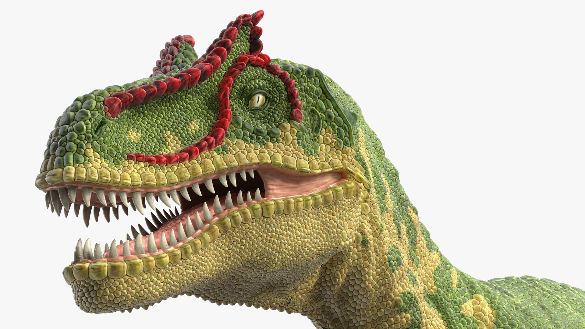 Rigged Dinosaurs Collection 8 for Cinema 4D 3D model https://p.turbosquid.com/ts-thumb/MB/5N0Qc2/fZ/riggeddinosaurscollection83dsmodel033/jpg/1711247504/1920x1080/fit_q87/138d3dba444f20a4d780717a9fd95d4f3c6a1922/riggeddinosaurscollection83dsmodel033.jpg