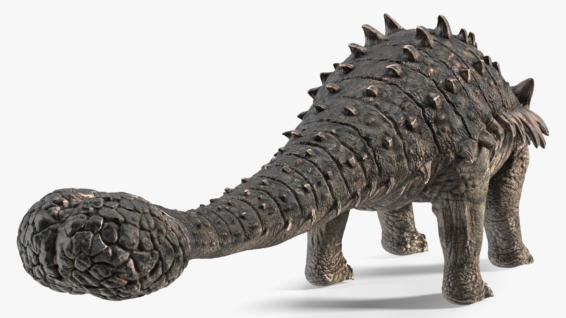 Rigged Dinosaurs Collection 8 for Cinema 4D 3D model https://p.turbosquid.com/ts-thumb/MB/5N0Qc2/fm/riggeddinosaurscollection83dsmodel016/jpg/1711247430/1920x1080/fit_q87/8806660df39c58eadd92d998b53bece45db9c483/riggeddinosaurscollection83dsmodel016.jpg