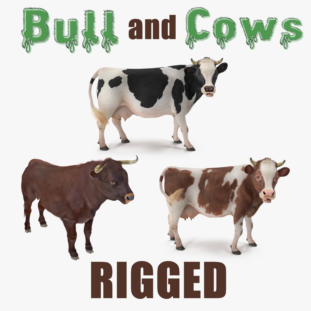 Rigged Bull and Cows Collection 3D model preview