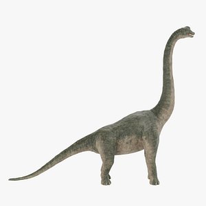 Brachiosaurus