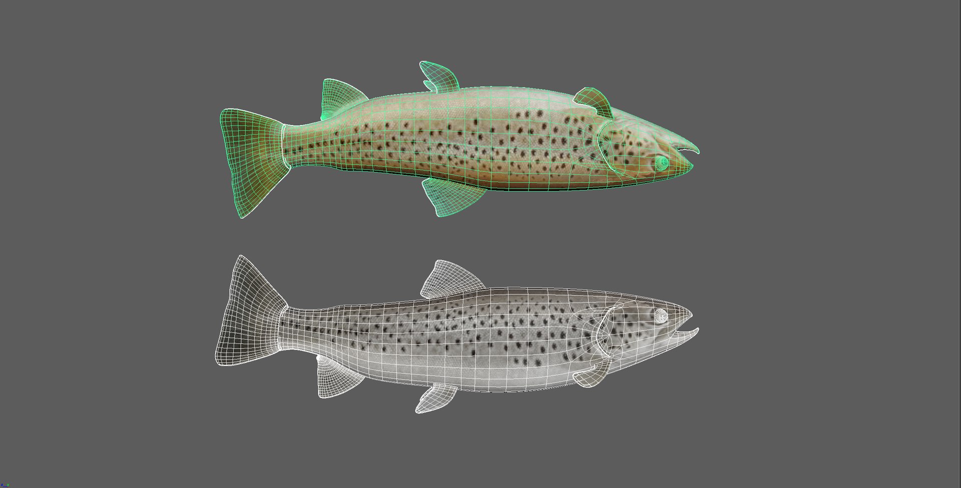3D Fish - TurboSquid 1786816