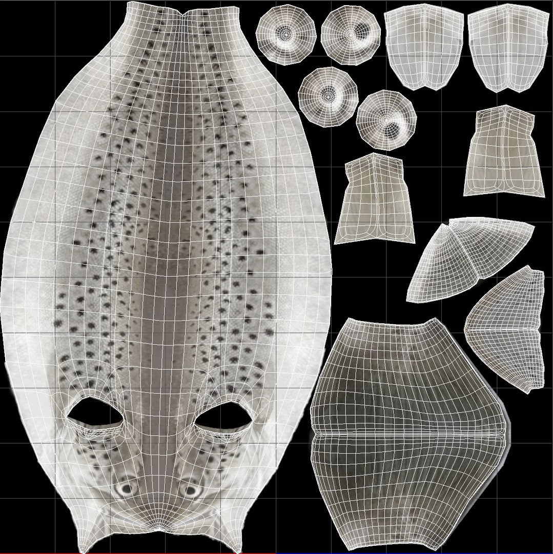 3D Fish - TurboSquid 1786816