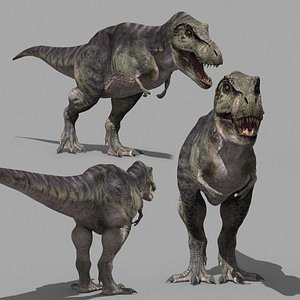 Accurate T Rex 8K - fully animated 3D model