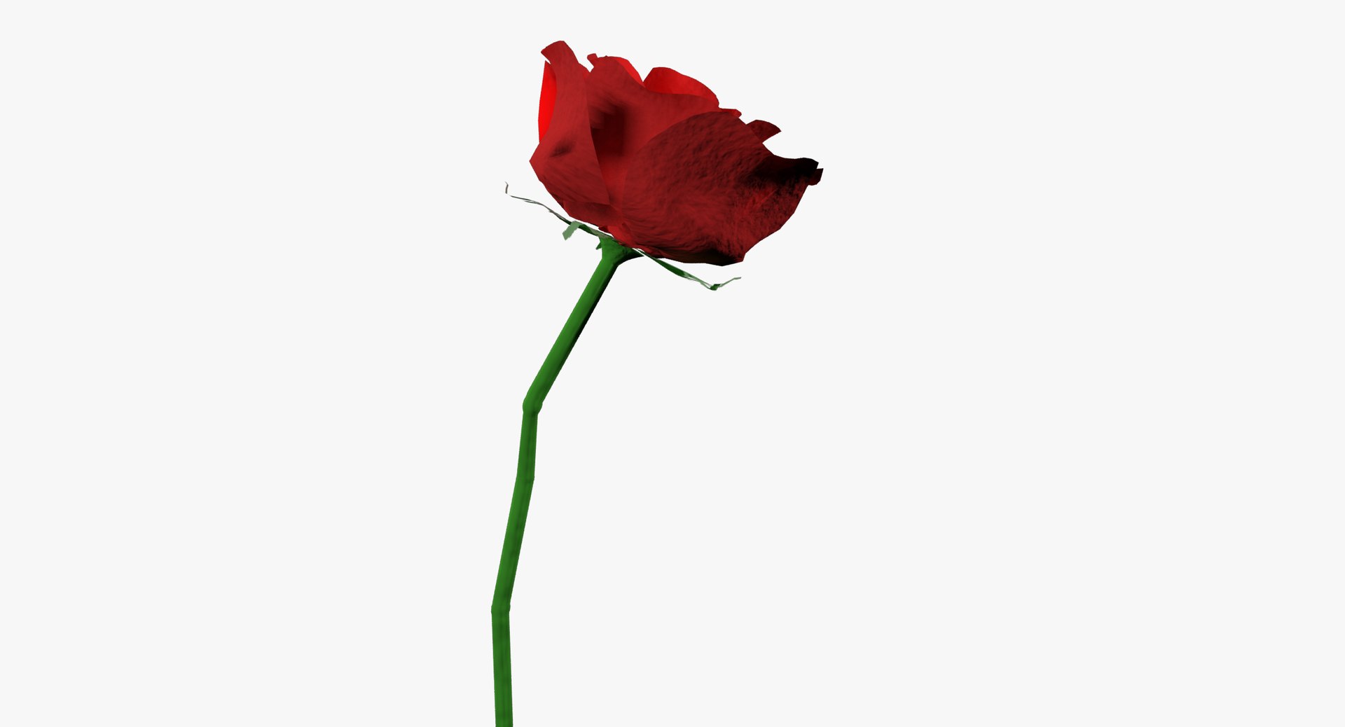 Red rose flower plant model - TurboSquid 1211566