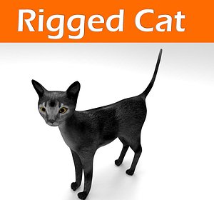 cat rigged 3d model