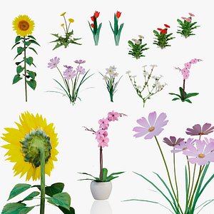 Flowers Pack