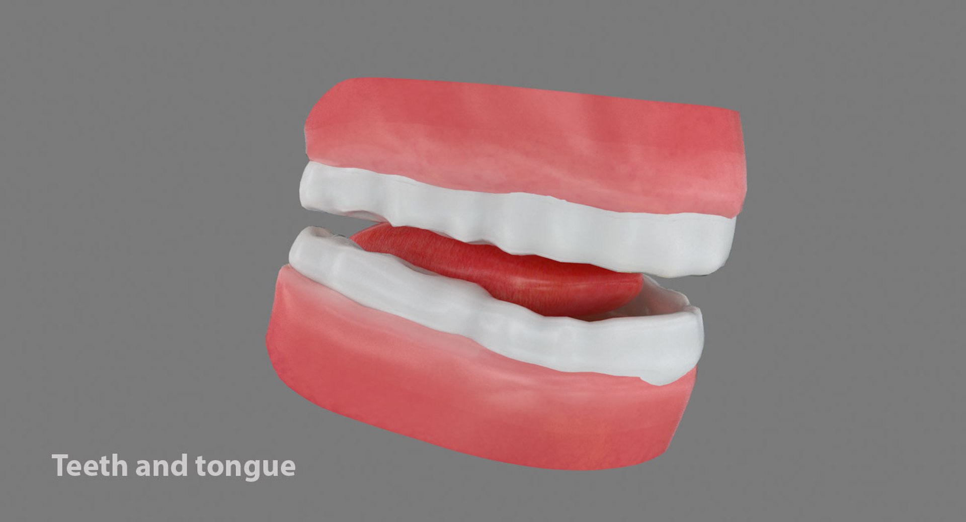 cartoon business woman 3d model https://p.turbosquid.com/ts-thumb/MB/sP4DXB/ZOPamX6Z/teethntonue/jpg/1446278029/1920x1080/fit_q87/6f9e46442f682da54f6fa72a98b58bd30a19ccd3/teethntonue.jpg