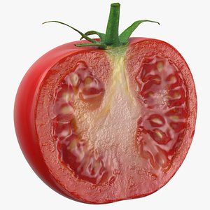 tomato half cut 3D model