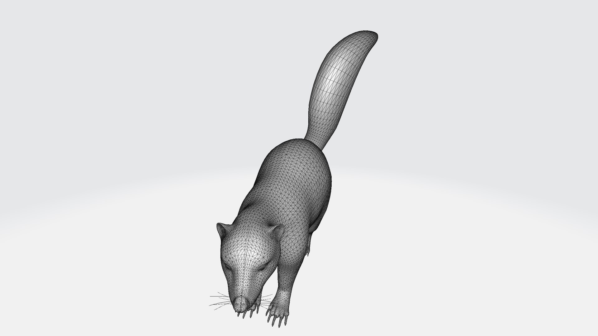 3D Skunk - TurboSquid 2400267