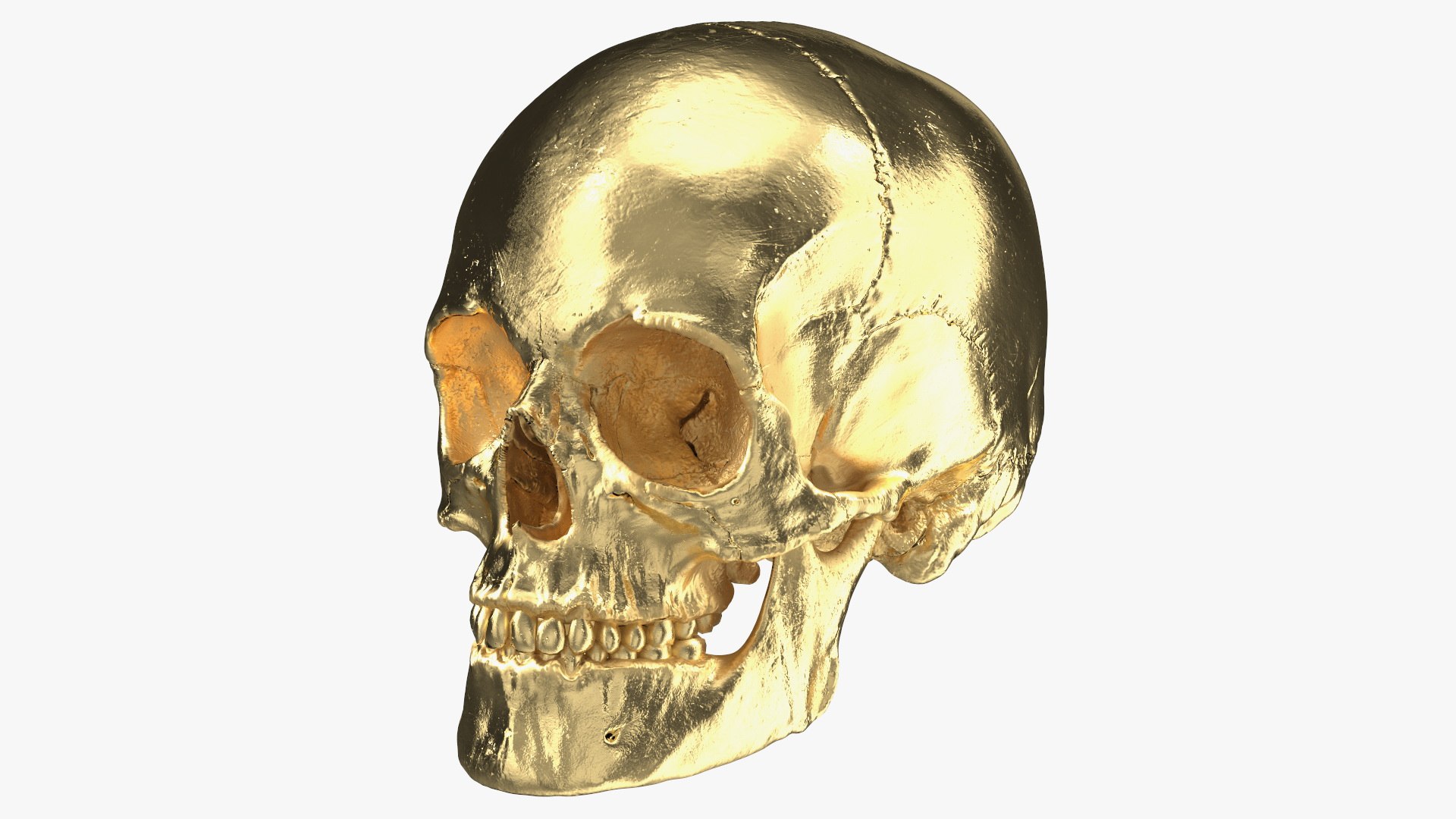 Female Human Skull Gold Metal 3D model preview