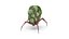 Alien Creature  ANIMATED