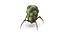 Alien Creature  ANIMATED