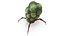 Alien Creature  ANIMATED