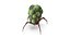 Alien Creature  ANIMATED