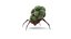 Alien Creature  ANIMATED