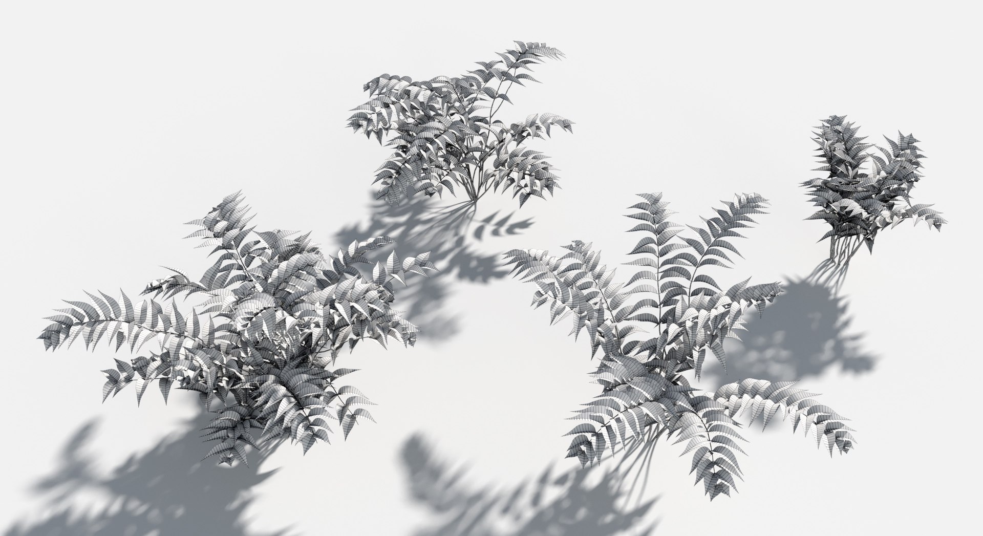 Plants Pack 8: Rainforest: GrowFX 3D https://p.turbosquid.com/ts-thumb/MC/LGqv3p/5R/holly_fern3/jpg/1623757247/1920x1080/fit_q87/cf57ad39fb37a238d5ba98e218af3e8561b55941/holly_fern3.jpg