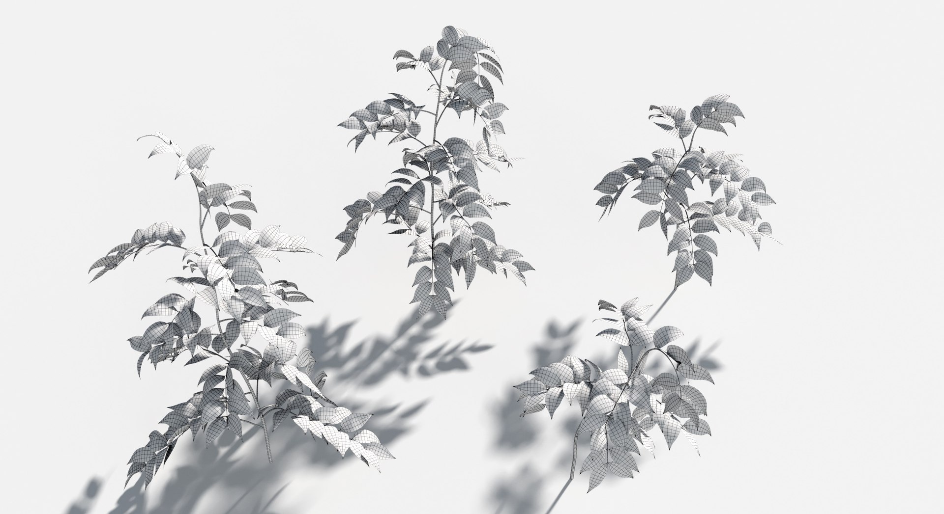 Plants Pack 8: Rainforest: GrowFX 3D https://p.turbosquid.com/ts-thumb/MC/LGqv3p/Yu/byfield_fern4/jpg/1623757239/1920x1080/fit_q87/56ca5993ef05ed186decf80eb97a4a19af9b1522/byfield_fern4.jpg
