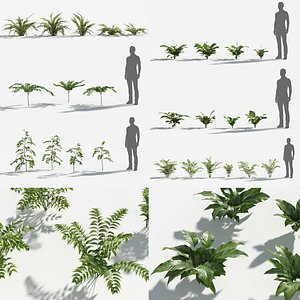 Plants Pack 8: Rainforest: GrowFX