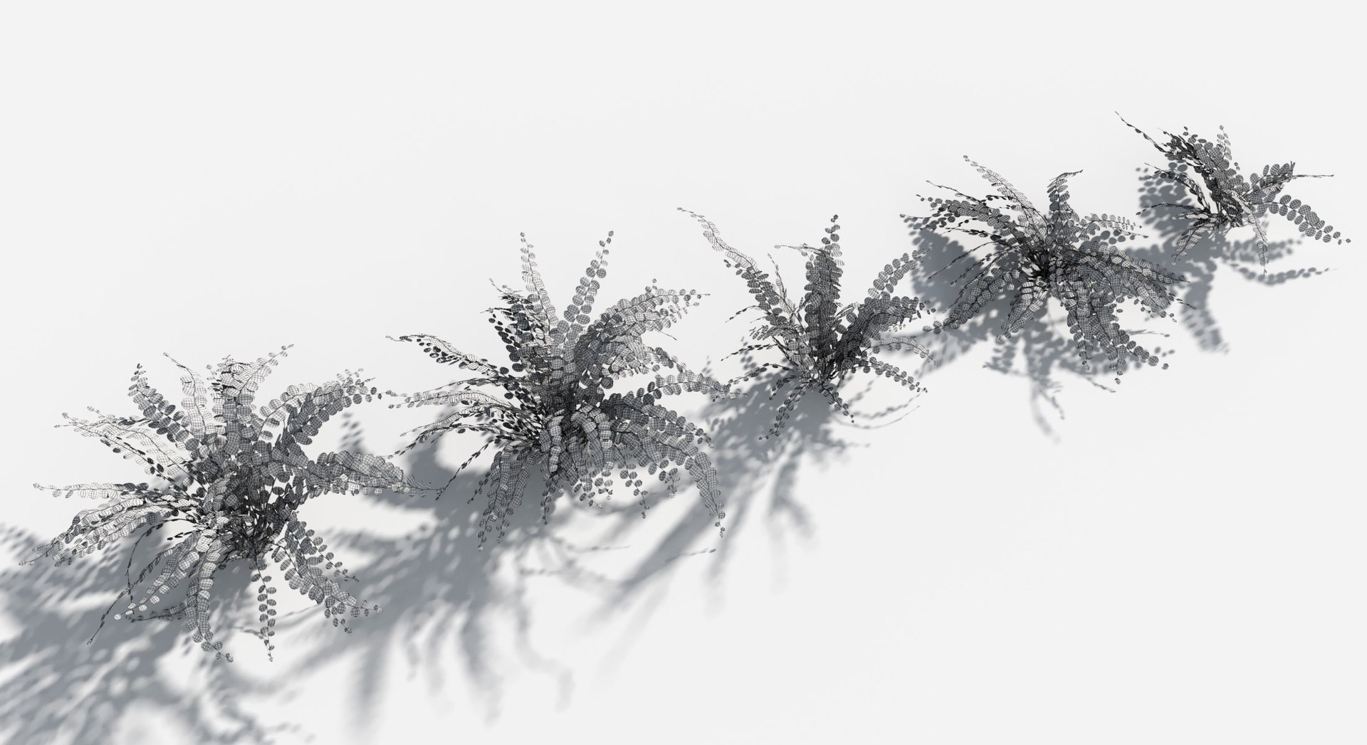 Plants Pack 8: Rainforest: GrowFX 3D https://p.turbosquid.com/ts-thumb/MC/LGqv3p/pq/button_fern3/jpg/1623757239/1920x1080/fit_q87/75c90fcdb4d4e8ecf1c46f163d5a96dab7139215/button_fern3.jpg