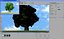 Oak Tree -Spring version-
