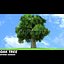 Oak Tree -Spring version-