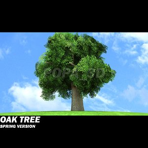 Oak Tree -Spring version-